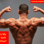 The Back of a Muscular Man Who is Holding a Biceps Flexing Pose