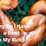 Why Do I Have a Dent in My Bicep