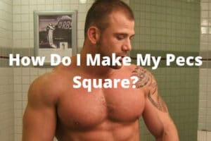 How Do I Make My Pecs Square