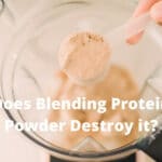 Does Blending Protein Powder Destroy it