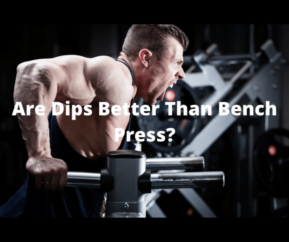 Are Dips Better Than Bench Press? (5 Dips vs. Bench Press Facts) My