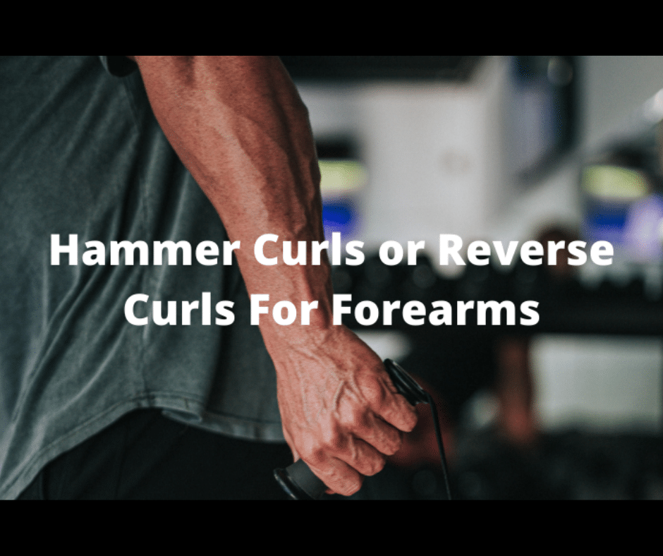 Are Hammer Curls or Reverse Curls Better For Forearms? (3 Forearm