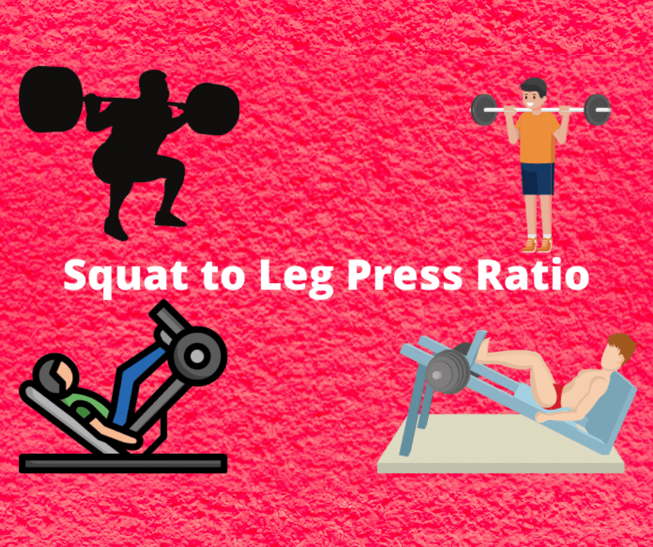 What’s the Ideal Squat to Leg Press Ratio? (Explained!) My Bodyweight