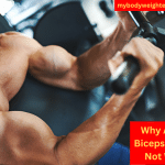 A Muscular Man in the Gym Performing Bicep Machine Curls