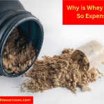 A tub of whey protein, a scoop, and some chocolate protein powder