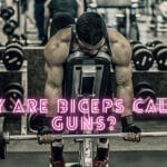 Why Are Biceps Called Guns