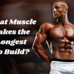 What Muscle Takes the Longest to Build