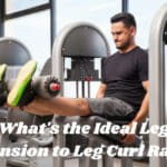 Leg Extension to Leg Curl Ratio