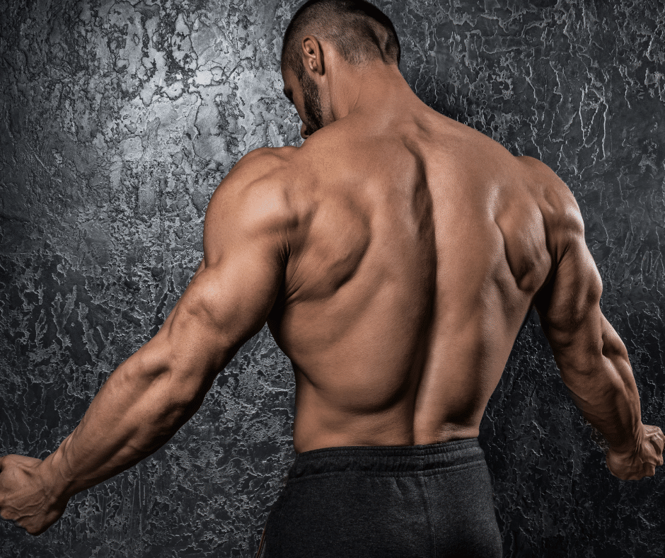 Bodybuilding Back Workout For Mass (4 Exercises to Blow Up Your Lats ...